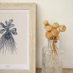 Boutiques de musées Décoration murale Herbier du roi A3 - Bleue - Maison Baluchon