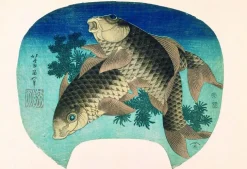 Discount Boutiques de musées Deux carpes (toiles encadrées)