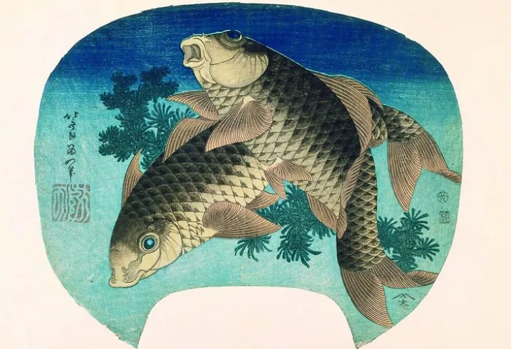 Discount Boutiques de musées Deux carpes (toiles encadrées)