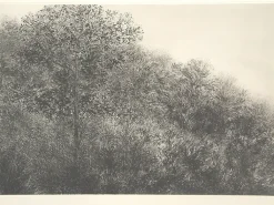 New Boutiques de musées Estampe Allant vers les roches noires - Bertrand Henry 2001