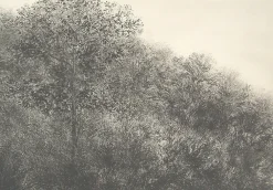 New Boutiques de musées Estampe Allant vers les roches noires - Bertrand Henry 2001