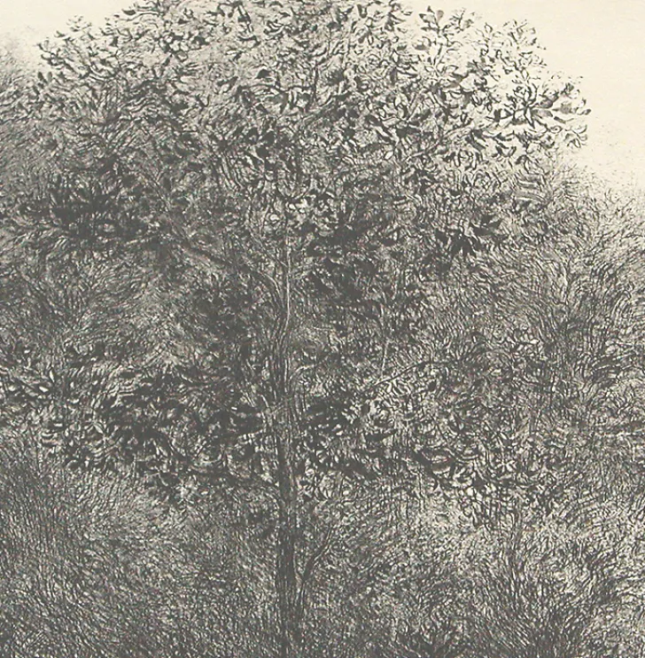 New Boutiques de musées Estampe Allant vers les roches noires - Bertrand Henry 2001