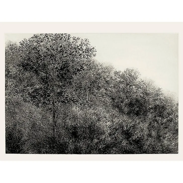 New Boutiques de musées Estampe Allant vers les roches noires - Bertrand Henry 2001