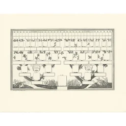 Boutiques de musées Personnages Et Évènements Historiques|Chefs D'Œuvre Des Musées-Estampe Arbre généalogique de 32 quartiers réservés en blanc