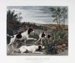Best Boutiques de musées Estampe Bonne, Nonne et Ponne, chiennes de la meute de Louis XIV - François Desportes