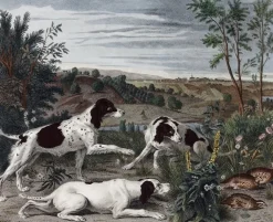 Best Boutiques de musées Estampe Bonne, Nonne et Ponne, chiennes de la meute de Louis XIV - François Desportes