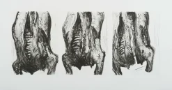 Boutiques de musées Créations Contemporaines-Estampe Carcasses - Philippe Cognée