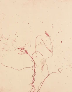 New Boutiques de musées Estampe Celles qui disparaissent, Celles qui se créent (ouest) - Mireille Gros