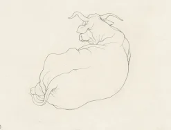 Boutiques de musées Estampe Corcelles - Cécile Reims