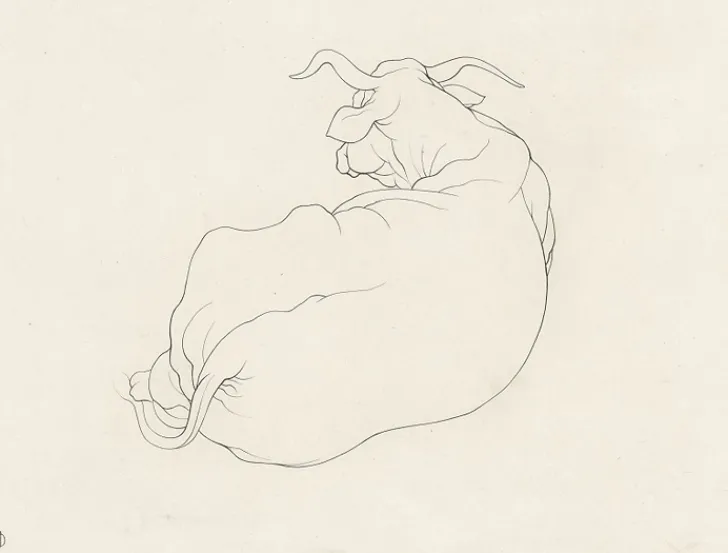 Boutiques de musées Estampe Corcelles - Cécile Reims