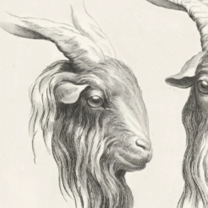 Boutiques de musées Dessins-Estampe Deux têtes de bouc