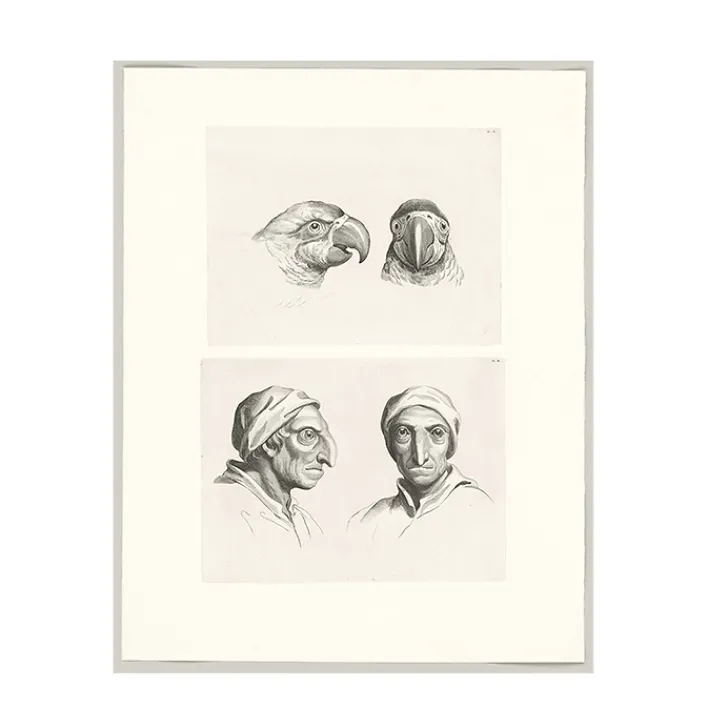 Outlet Boutiques de musées Estampe Deux têtes de perroquets et deux têtes d'hommes