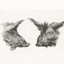 Boutiques de musées Dessins-Estampe Deux têtes de sanglier et deux têtes d'hommes