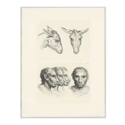 Boutiques de musées Nature, Fleurs Et Paysages-Estampe Deux têtes d'âne et Têtes d'homme à faciès d'âne