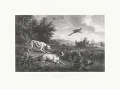 Boutiques de musées Chefs D'Œuvre Des Musées-Estampe Diane et Blonde, chiennes de Louis XIV, chassant le faisan - François Desportes