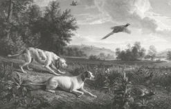 Boutiques de musées Chefs D'Œuvre Des Musées-Estampe Diane et Blonde, chiennes de Louis XIV, chassant le faisan - François Desportes