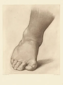 Hot Boutiques de musées Estampe Etude pour le pied droit du Saint Jean Baptiste dans le désert - Raphaël