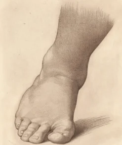 Hot Boutiques de musées Estampe Etude pour le pied droit du Saint Jean Baptiste dans le désert - Raphaël