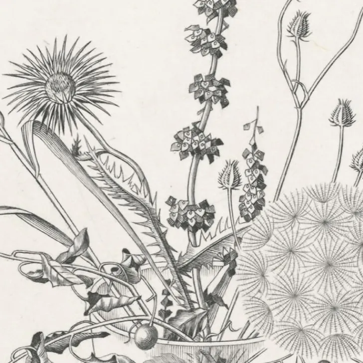 Boutiques de musées Estampe Fleurs des champs dans un verre (automne) - Hasegawa