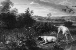 Boutiques de musées Chefs D'Œuvre Des Musées-Estampe Folle et Mitte, chiennes de Louis XIV, à l'arrêt devant deux faisans - François Desportes