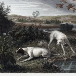 Boutiques de musées Chefs D'Œuvre Des Musées-Estampe Folle et Mitte, chiennes de Louis XIV, à l'arrêt devant deux faisans - François Desportes