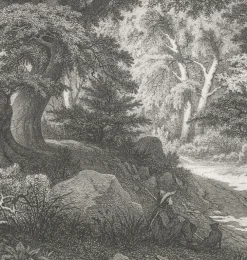 Best Boutiques de musées Estampe Forêt de Fontainebleau : le Charlemagne et le Roland - Eugène Bléry