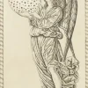 Clearance Boutiques de musées Estampe La 8ème sphère, carte 48, Le Tarot de Mantegna - Cécile Reims