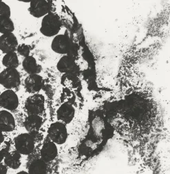 Boutiques de musées Créations Contemporaines-Estampe La rose du Louvre - Jean-Michel Othoniel