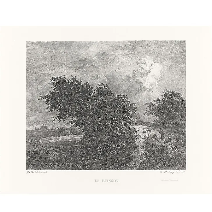 Boutiques de musées Nature, Fleurs Et Paysages|Chefs D'Œuvre Des Musées-Estampe Le buisson - Van Ruisdael