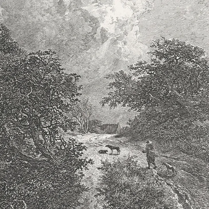 Boutiques de musées Nature, Fleurs Et Paysages|Chefs D'Œuvre Des Musées-Estampe Le buisson - Van Ruisdael