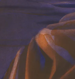 New Boutiques de musées Estampe Le corsage - Rosanna Lefeuvre