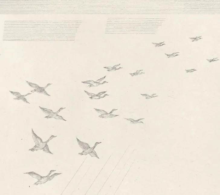 Boutiques de musées Chefs D'Œuvre Des Musées-Estampe Le Vol de canards (Grande Brière) - Jean-Emile Laboureur