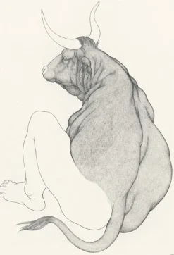 Boutiques de musées Art Moderne-Estampe Les métamorphoses d'Ovide - Cécile Reims