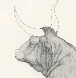 Boutiques de musées Art Moderne-Estampe Les métamorphoses d'Ovide - Cécile Reims