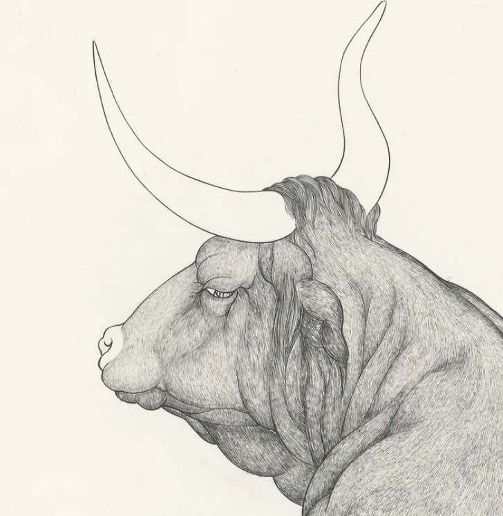 Boutiques de musées Art Moderne-Estampe Les métamorphoses d'Ovide - Cécile Reims