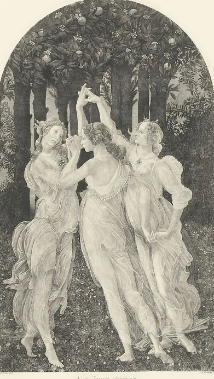 Boutiques de musées Chefs D'Œuvre Des Musées-Estampe Les Trois Grâces - Botticelli