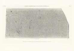 Online Boutiques de musées Estampe Pierre de rosette Partie centrale - Égyptien démotique