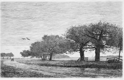 Online Boutiques de musées Estampe Pommiers à Damville (Eure) - Emile-Frédéric Nicolle