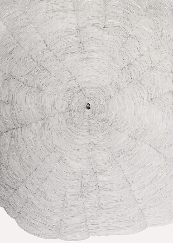 Boutiques de musées Créations Contemporaines-Estampe Propagazione - Giuseppe Penone 2009