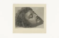 Boutiques de musées Chefs D'Œuvre Des Musées-Estampe Saint Jean-Baptiste - Andrea Solario