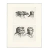Online Boutiques de musées Estampe Trois têtes d'aigle et trois têtes d'hommes en relation avec l'aigle