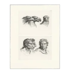 Online Boutiques de musées Estampe Trois têtes d'aigle et trois têtes d'hommes en relation avec l'aigle