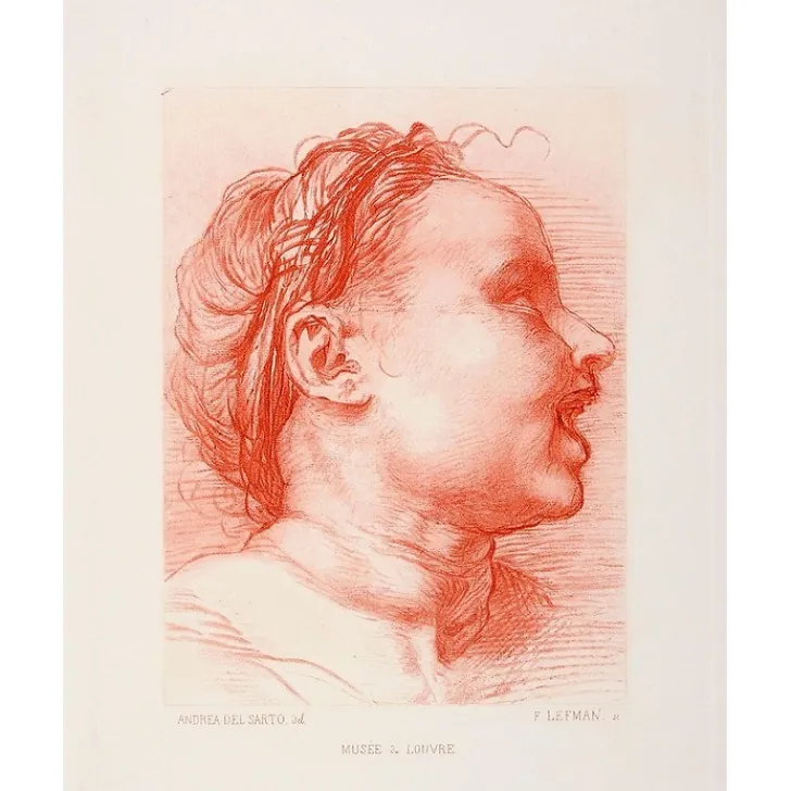 Boutiques de musées Dessins-Estampe Tête d'enfant souriant, tourné à droite - Andrea del Sarto
