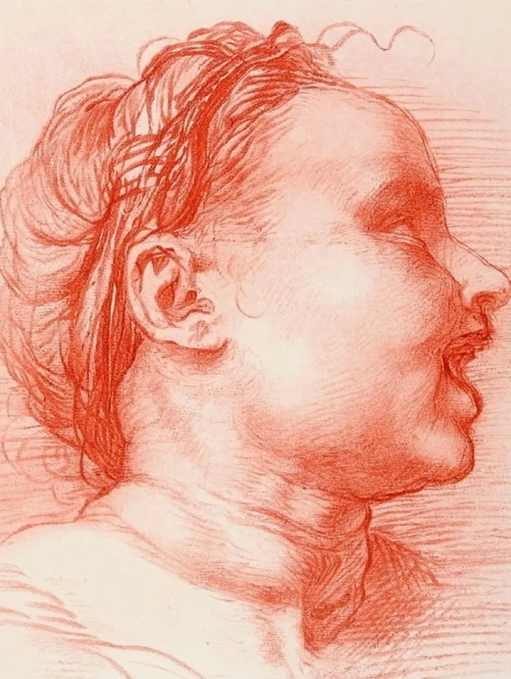 Boutiques de musées Dessins-Estampe Tête d'enfant souriant, tourné à droite - Andrea del Sarto