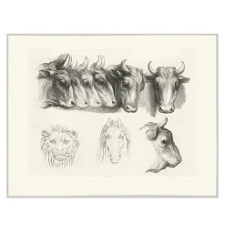 Boutiques de musées Dessins-Estampe Têtes de bœufs, de lion et de cheval