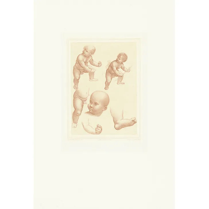Boutiques de musées Dessins-Estampe Étude d'enfant - Léonard de Vinci