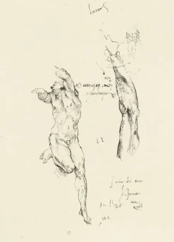 Boutiques de musées Dessins-Estampe Étude d'homme nu et étude de bras - Michel-Ange