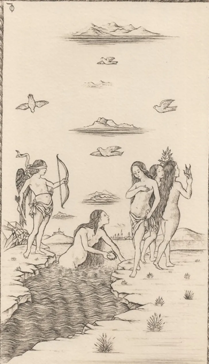 Boutiques de musées Art Moderne-Estampe Vénus, carte 43, Le Tarot de Mantegna - Cécile Reims