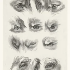 Boutiques de musées Dessins-Estampe Yeux de loup, de renard et de pourceau