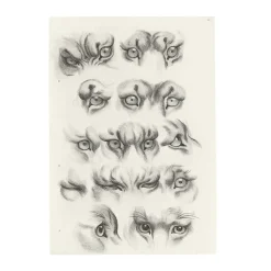 New Boutiques de musées Estampe Yeux de tigre, de loup-cervier et de chat